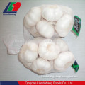 Pure White Garlic with Leaves Packed in Small bag